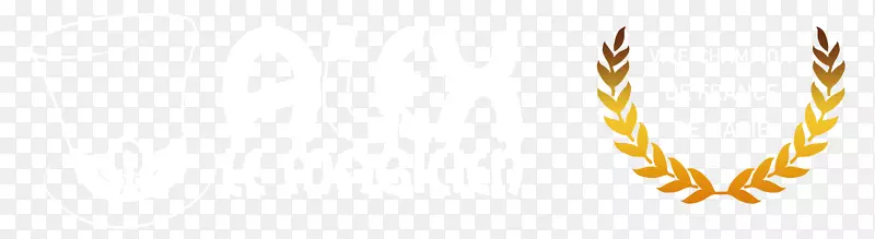 ��ѿ��ϴ��ˮ-������