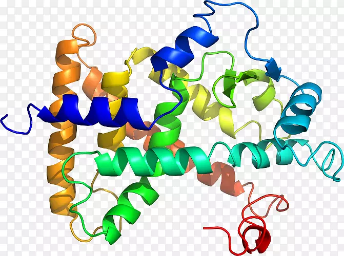 ���������л����߼�������-������