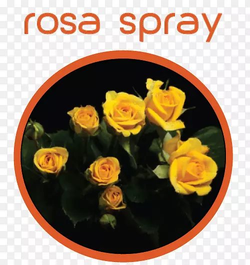 ��԰õ�廨�л�õ��-������