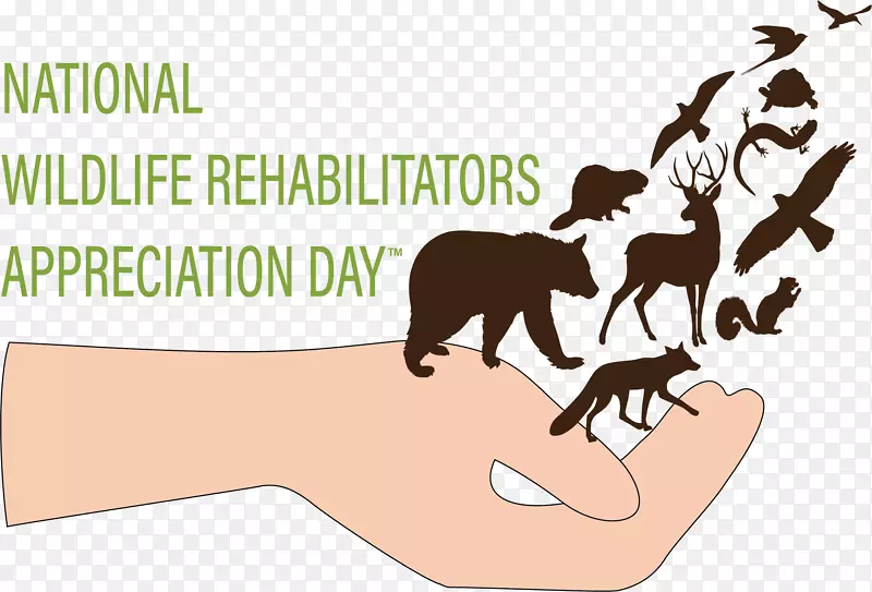 ��è����־����-��-������