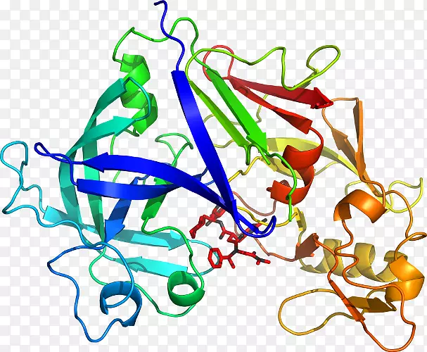 �������߼�������-������