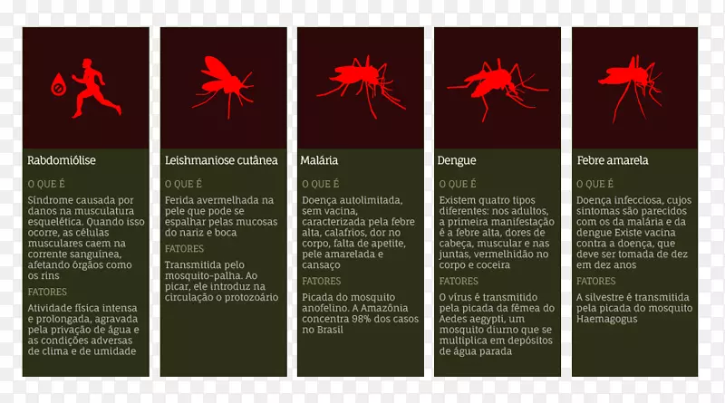 ���ƽ�����Ʒ�����-������