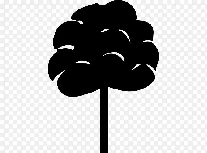 ��ɫ����-����-������