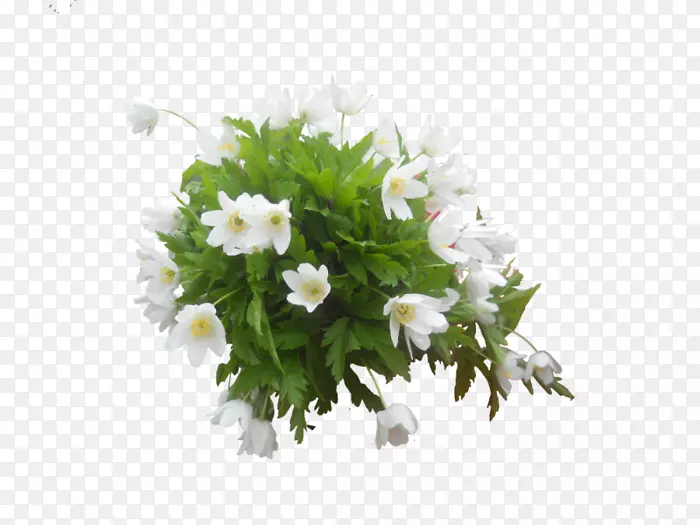 ��������л������˹�����-������