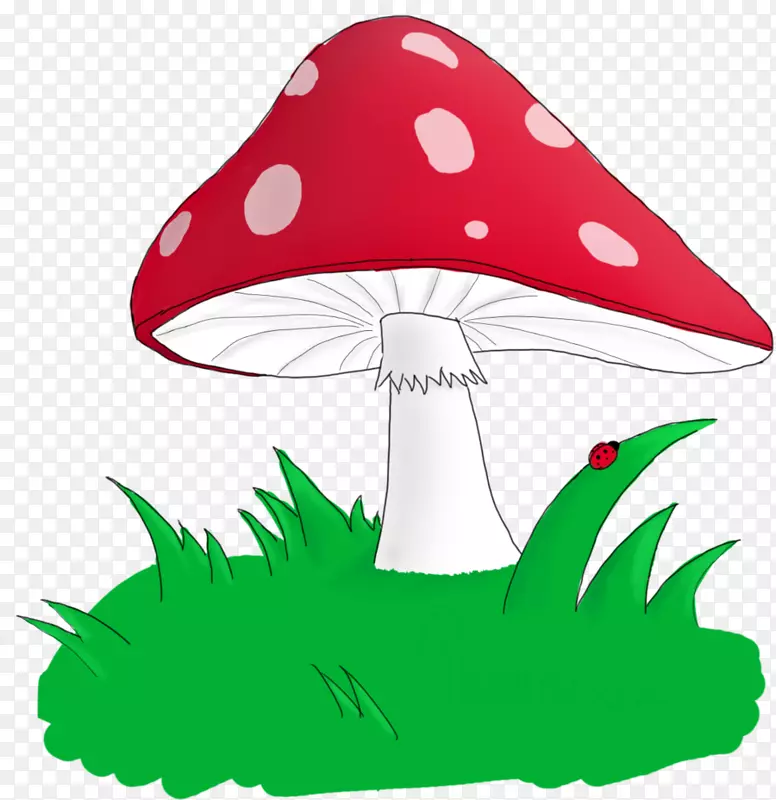 ��ֽ����-������