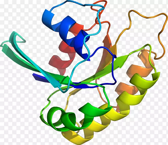 ���������л����߼�������-������