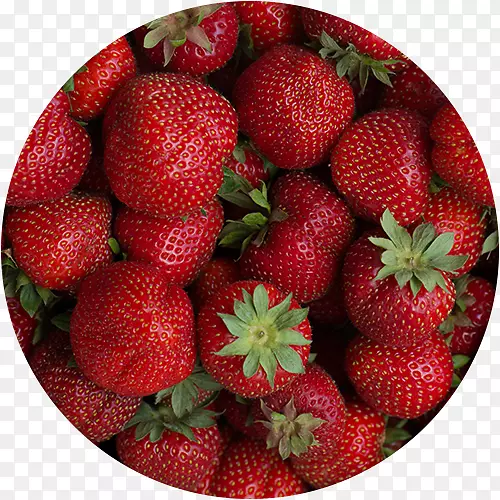 Wibke Sommer��Ƭ����Ӱ��ƬʳƷ0-erdbeeren-������