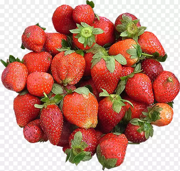 ��ݮ��ʳƷ��ȻʳƷ��ݮ-������