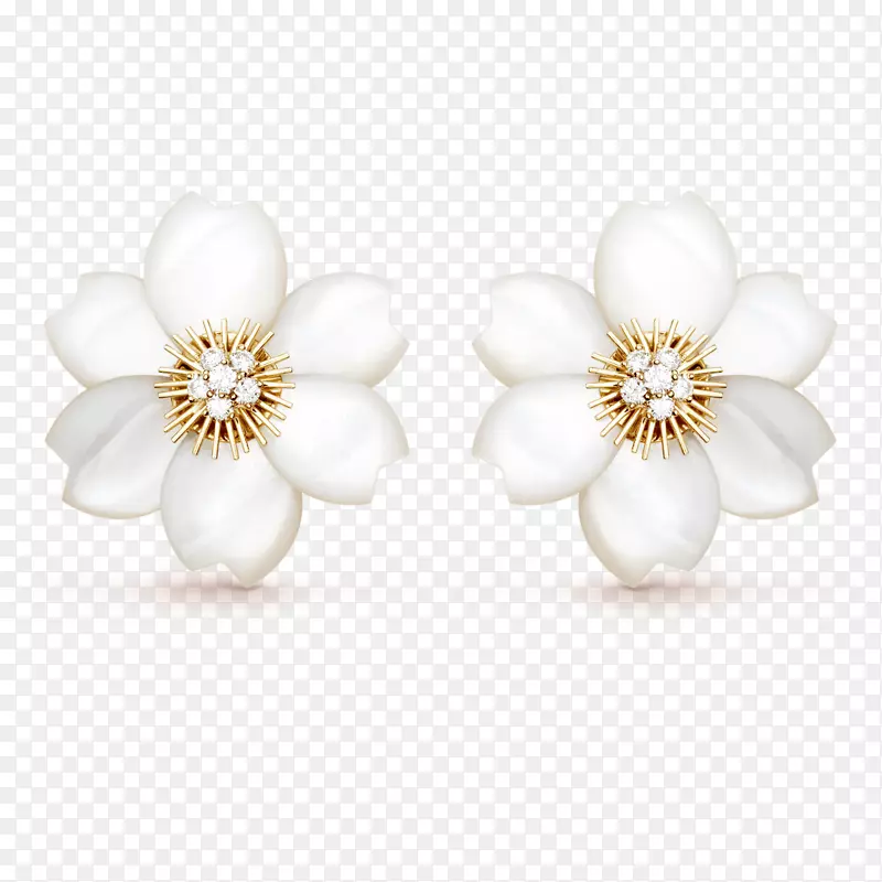 �������������.�鱦-������