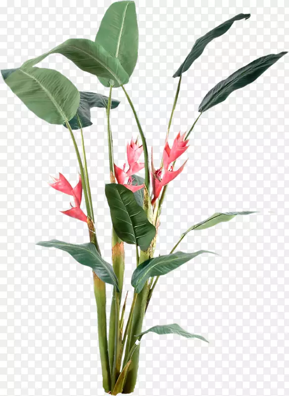 ���˳ػ�-������