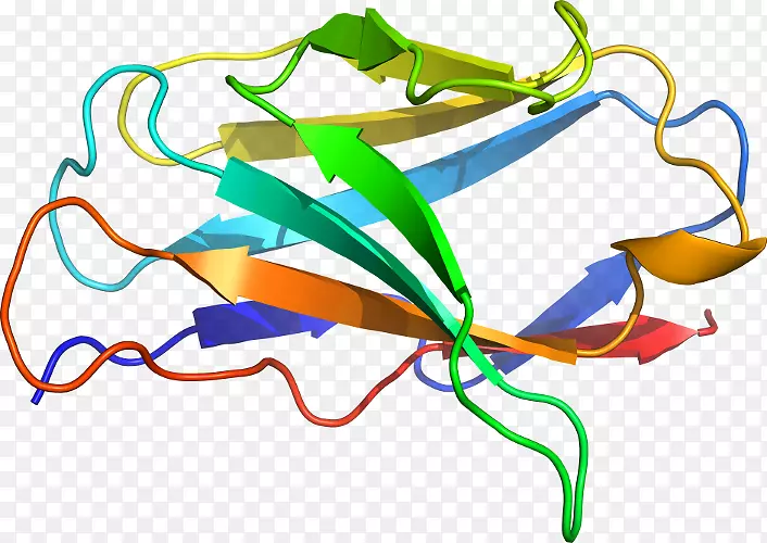 �ߵ������������-������