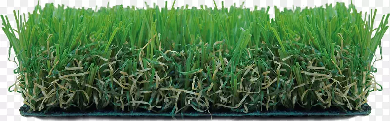 �����ƺ��԰��ƺ��̨�۱�ϩ�˹���-������