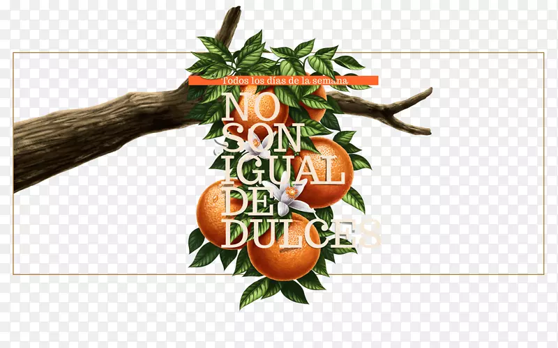 �߲˺���-������