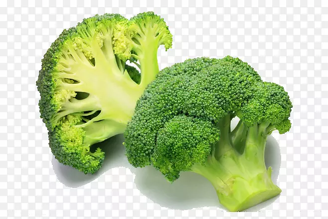 �������˰Ĵ����ǲ�ˮ��������-������