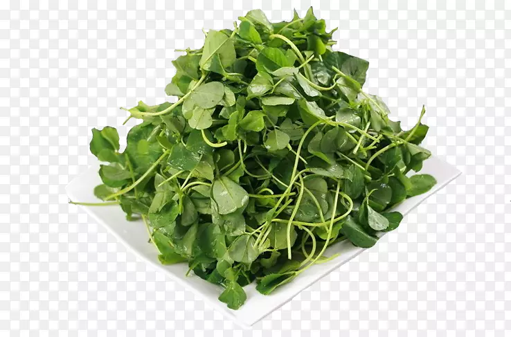 ���̻�Ҭ�˶���Ʒ��-��Ҭ��-������