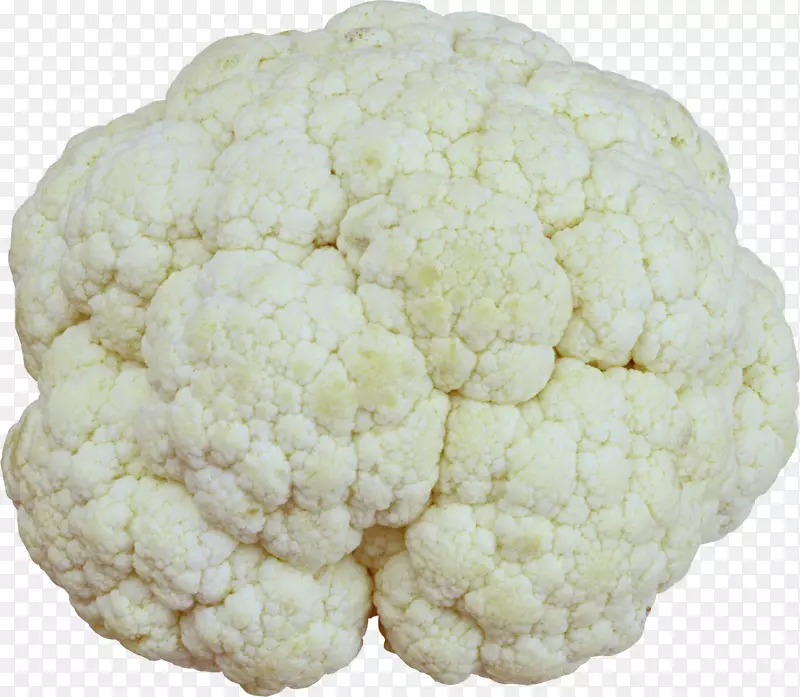 ��Ҭ��-������