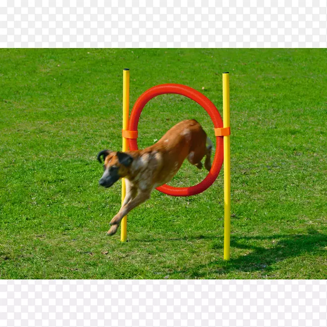 С�������԰Ĵ�����ţ��ѵ������С��-������