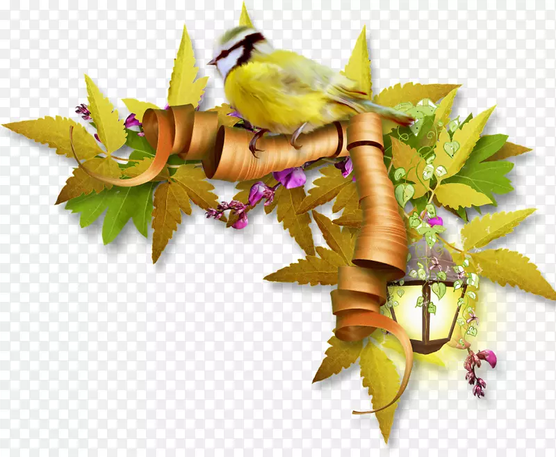 ���ͼ�����-������