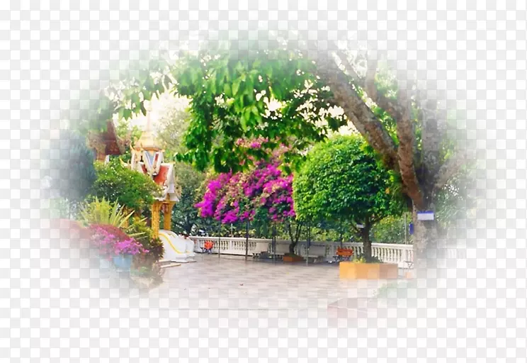 ��-��-������