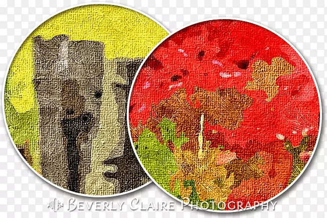 �ʻ浾��-������