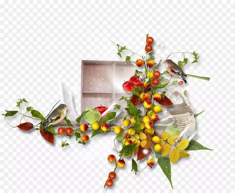 ��������л�����ֲ��.���-������