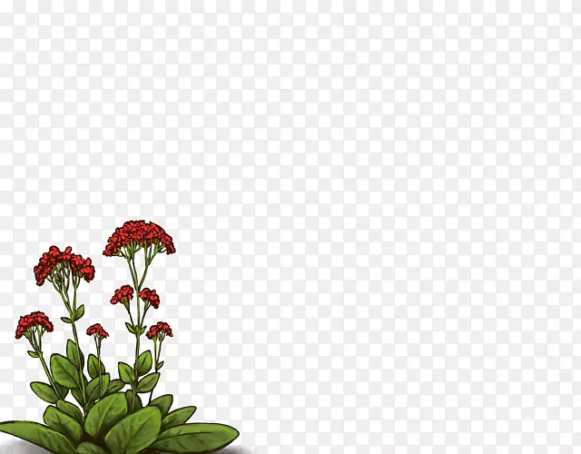 ��������л�ֲ�ﾥ�������-������