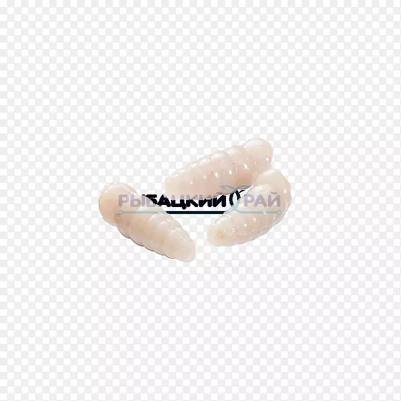 ָ��-������