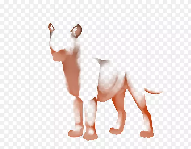 è������צ��è��è-������