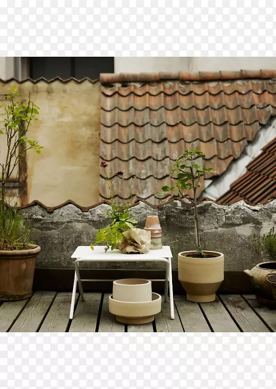 Skagerrak���軨ƿ��԰�մɻ�ƿ-������