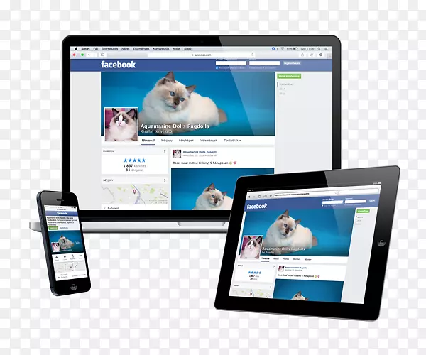 �������ص��Ӷ�ý�����-������