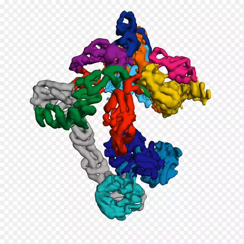 �鱦����-������