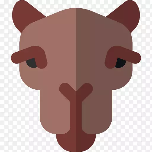 ���տ�����ͼ��ͼ��-CAMEL-������