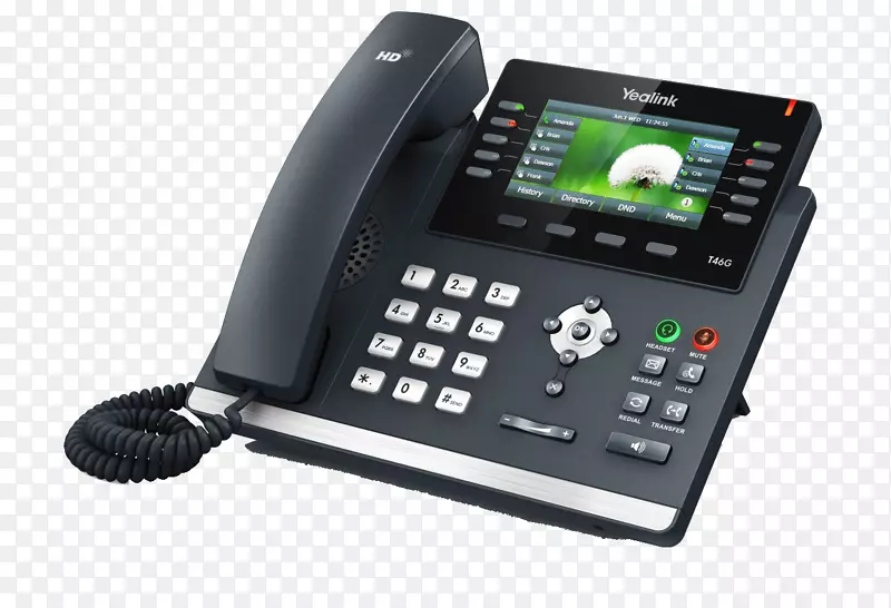 yalink SIP-t46g voip�绰�Ự����Э��绰-������