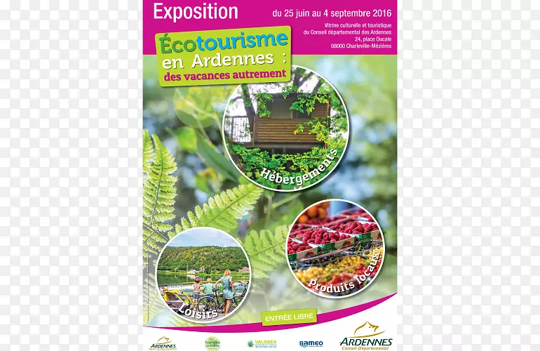 �����̬����-������