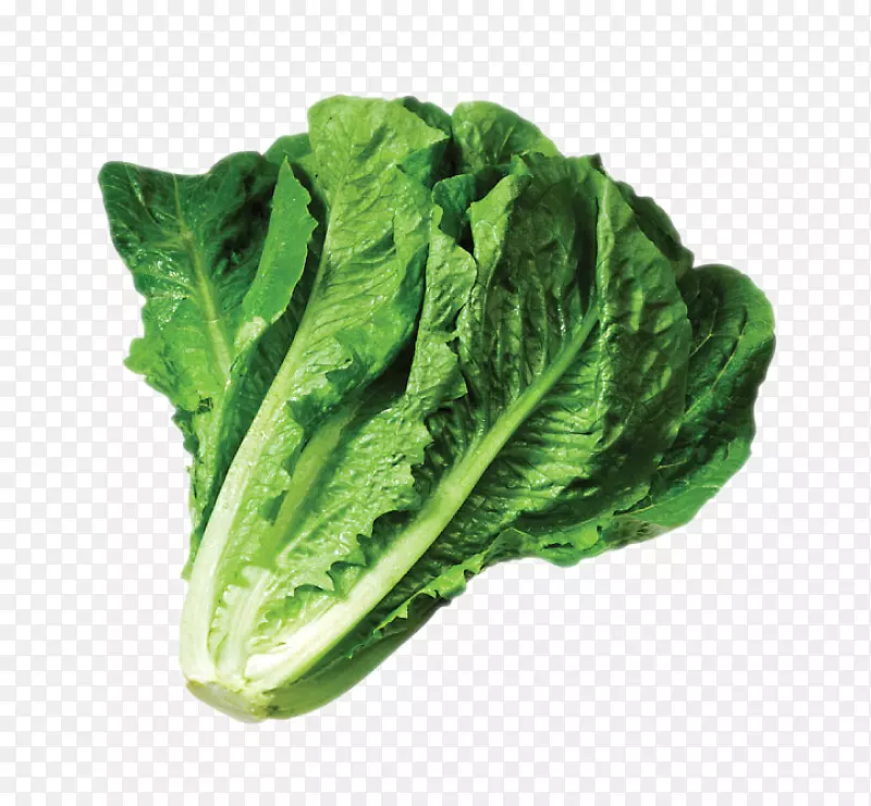 �߲˿���ɳ����ɽ���˼�����-�߲�-������