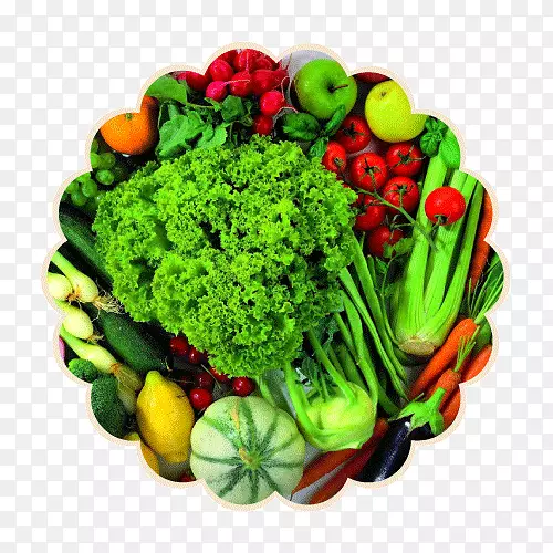 ������ʳ�л�ʳƷvv.nord���������ʳ-����-������