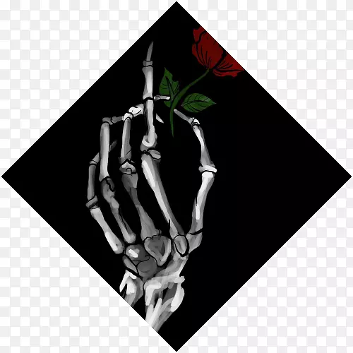 ָ���-������