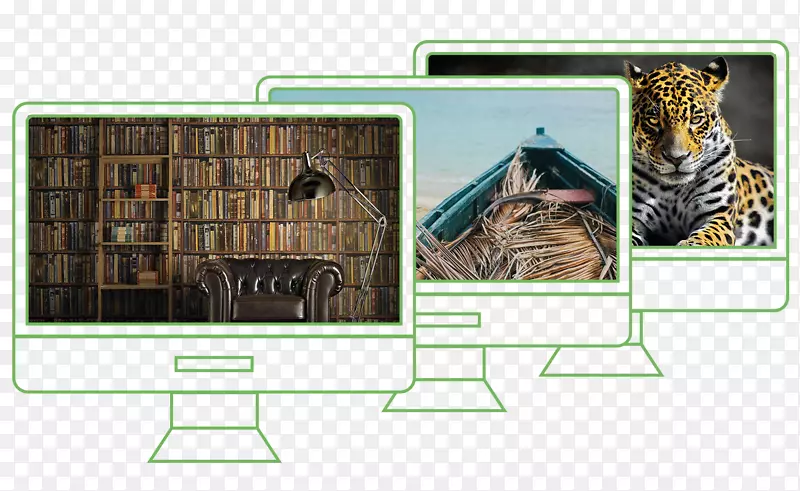 ����Ƶ���������ң��������Һ�����ӷ�-������