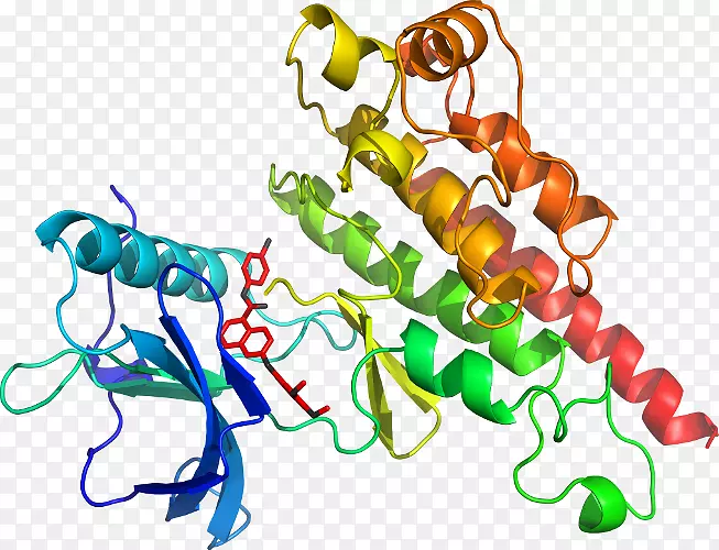 ���������л����߼�������-������