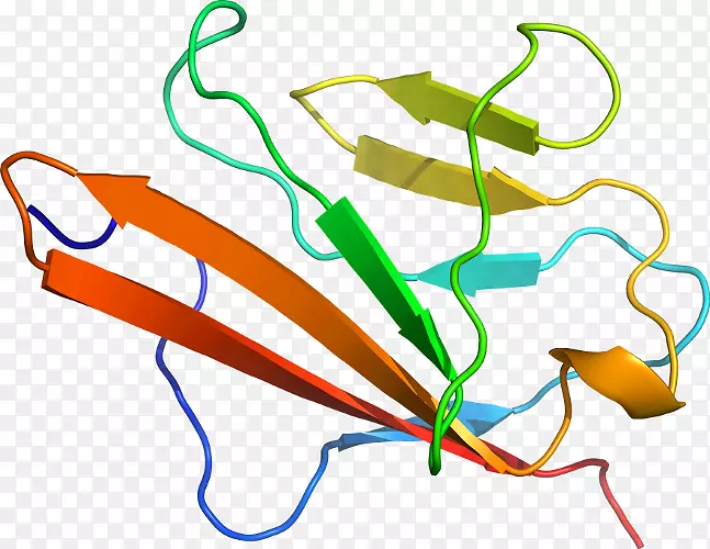 �ߵ������-��-������