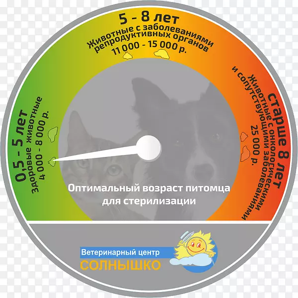 Solnyshko��������˸��ѧ.���-������