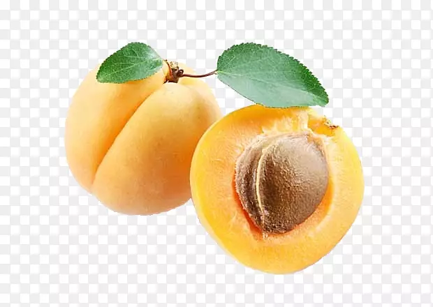 ��Ƭ����-��-������