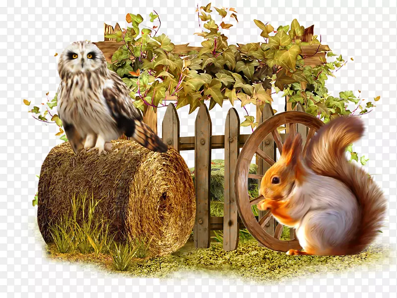 ���󲩿�-����-������