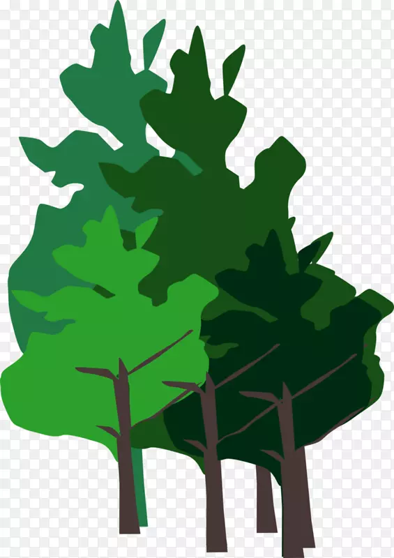 ����ֲ��ҶƬ��֦������-��Ⱥ-������