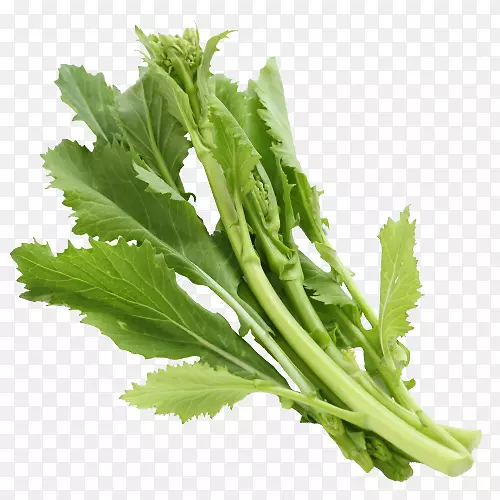 ��ζ�����ʳƷ������-�߲�-������