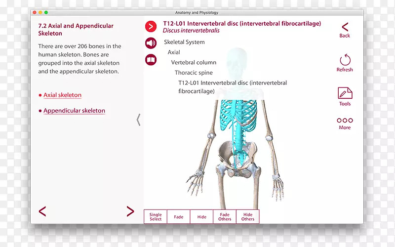 ƽ�����Ʒ���������-������