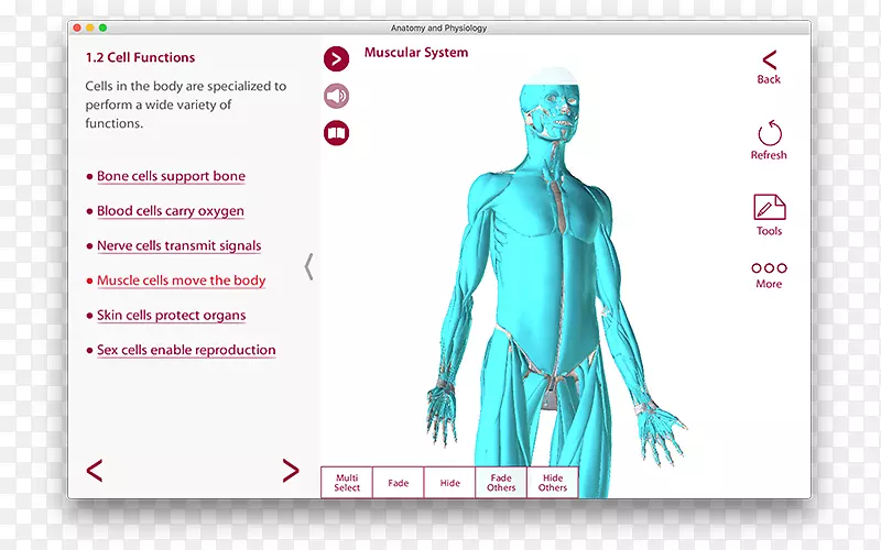 �粿����ͼ����ƾ������-������