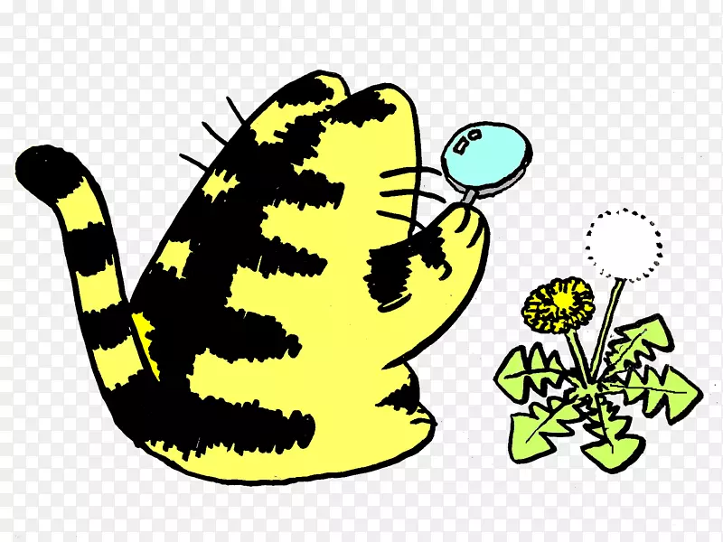 �������涯��������-����-������