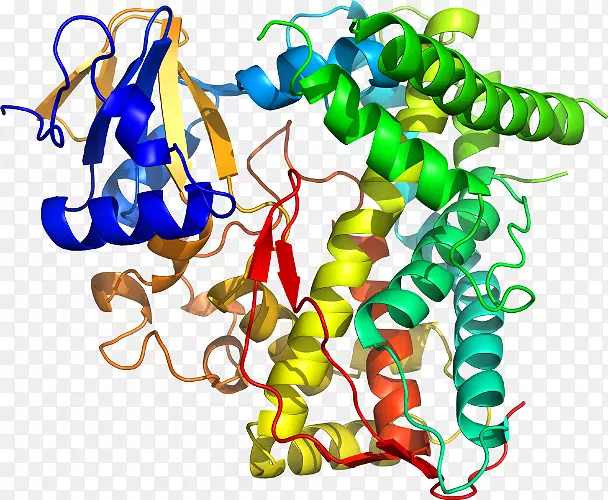 ��ľ����ʳ���߼�����-��-������