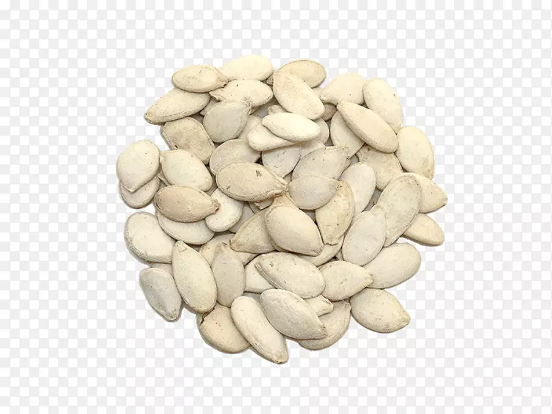 ��ʳ��������ƻ����-������